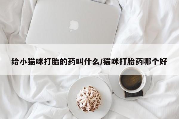 流产药私人联系方式微信给小猫咪打胎的药叫什么/猫咪打胎药哪个好